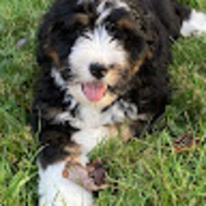 Meet your Posher, Aryn